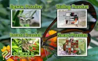 Free Butterfly Puzzle Games Screen Shot 1