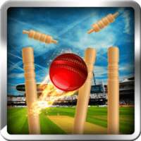 Cricket Ball Wicket Smash