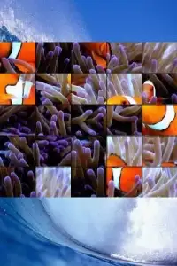 Ocean Life Puzzle Screen Shot 1