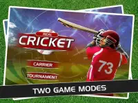 Play Cricket Matches Screen Shot 3