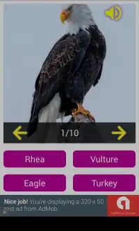 Bird sounds (Play & Quiz) Screen Shot 2
