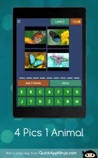 4 Pics 1 Animal Screen Shot 7