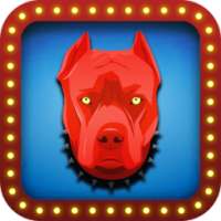 Red Dog Poker - Siba Style