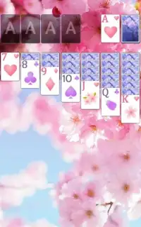 Solitaire Pink Blossom Theme Screen Shot 4