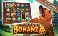 Slots Big Bear Free Slots Game Screen Shot 9