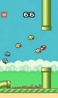 Flappy Crush : Bird Smash Screen Shot 1