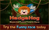 HedgeHog Bouncing Funny Forest Race Screen Shot 5