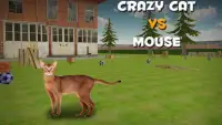 Crazy Cat vs Mouse Screen Shot 4