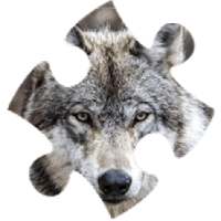 wolves jigsaw puzzles