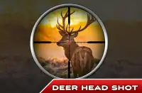 Deer Hunter 2017 Screen Shot 3