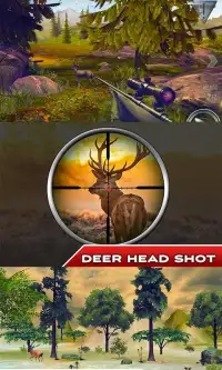 Deer Hunter 2017 Screen Shot 0