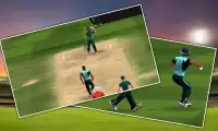 Cricket 2016 Games free Screen Shot 4
