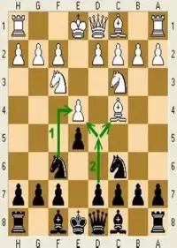 Chess Gold Free Screen Shot 5