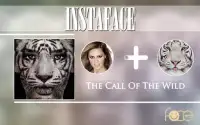 InstaFace : face morphing Screen Shot 15