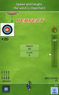 Archery Ace Screen Shot 6