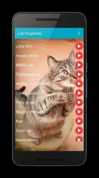 Cat Sounds Ringtones Purr Screen Shot 1