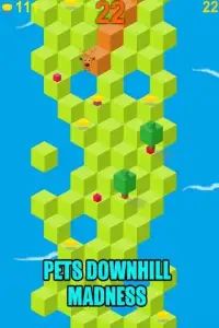 Pets Downhill Madness - Game Screen Shot 11