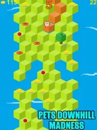 Pets Downhill Madness - Game Screen Shot 6