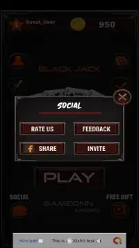 Black Jack Screen Shot 2