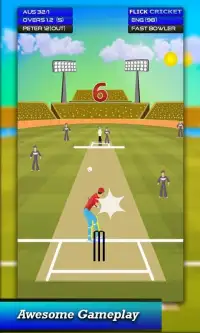 Flick Cricket 2016 Screen Shot 5
