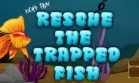 Rescue The Trapped Fish Screen Shot 3