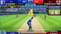 Smash Cricket Screen Shot 4