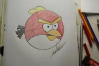 How to draw Birds Angry Screen Shot 4
