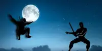 Amazing shadow ninja fight Screen Shot 3