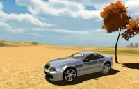 Real Driving Simulator Screen Shot 3