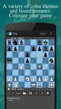 Super Chess Screen Shot 3