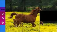 Horse Puzzle Games for Girls Screen Shot 5