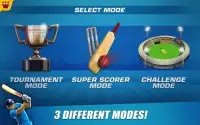 Power Cricket T20 Cup 2016 Screen Shot 11