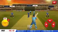 Power Cricket T20 Cup 2016 Screen Shot 8