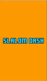 Slalom Dash Screen Shot 0