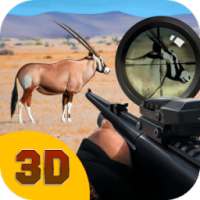 Wild Animal Safari Hunter 3D