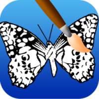 butterfly coloring pages games