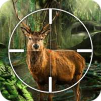 Deer, Bear, Tiger Hunting 2016