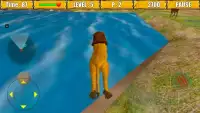 Wild Lion Simulator Game Screen Shot 2