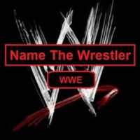 Name The Wrestler WWE