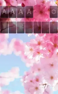 Solitaire Pink Blossom Theme Screen Shot 2