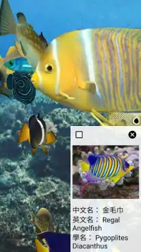 Happy Fish 3D Screen Shot 3