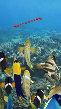 Happy Fish 3D Screen Shot 7