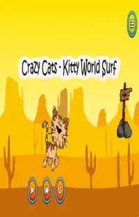 Crazy Cats - Kitty World Surf Screen Shot 1