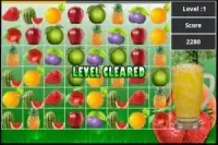 Fruit Juicer Screen Shot 4
