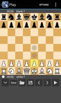 Chess Free 2 Player, Computer Screen Shot 6