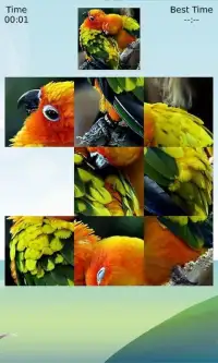 Funny Birds Couple Screen Shot 2