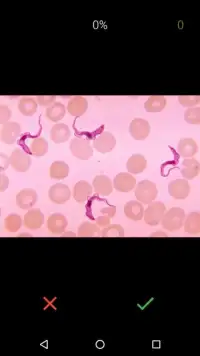 MedBio - Medicinal Biology Screen Shot 1