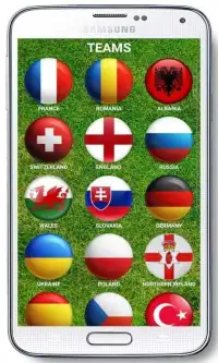 Euro 2016 France Cup Calendar Screen Shot 1