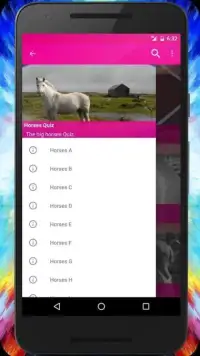 The Horses Quiz + Guide. Screen Shot 5
