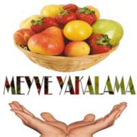 Meyve Kesmece Oyunu